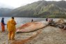 Comisión Golfo de Penas: El Misterio de las ballenas varadas Comisión Golfo de Penas: El Misterio de las ballenas varadas
